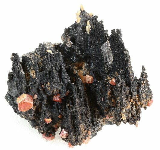 Red Vanadinite Crystals On Manganese Oxide - Morocco #38503
